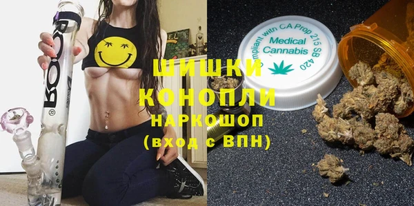 apvp Белокуриха