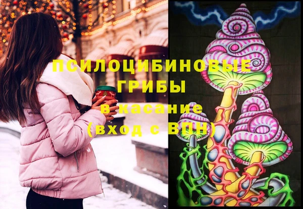 apvp Белокуриха